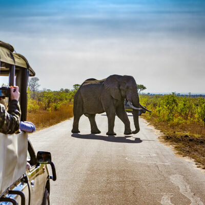 4 common mistakes to avoid on a safari